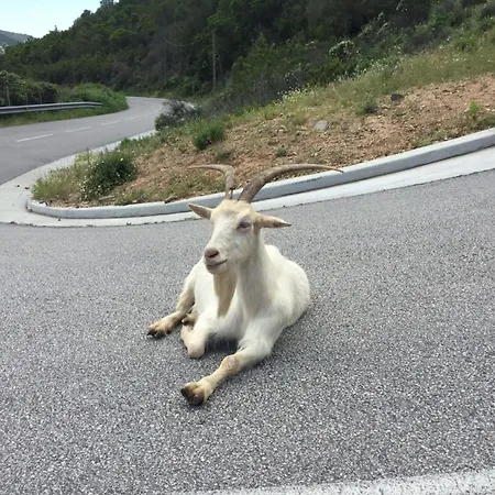 Villa Caonia - Pool With Sea View - By Tgb Pietrosella