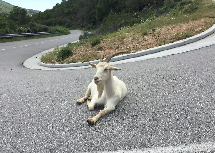 וילה Caonia - Pool With Sea View - By Tgb Pietrosella
